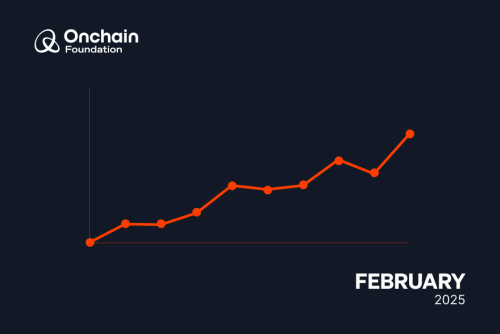 Onchain Financial Update February 2025