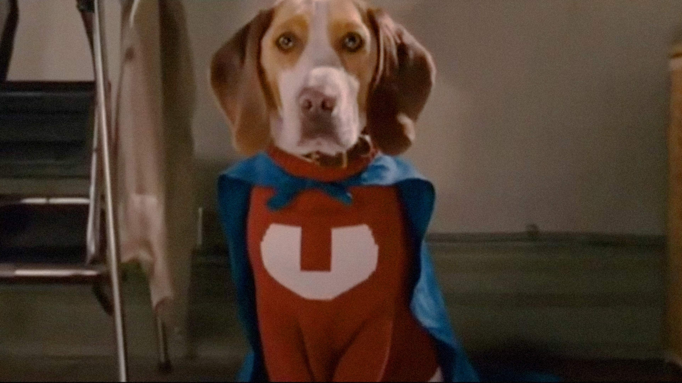 Screenshot of Underdog from the movie