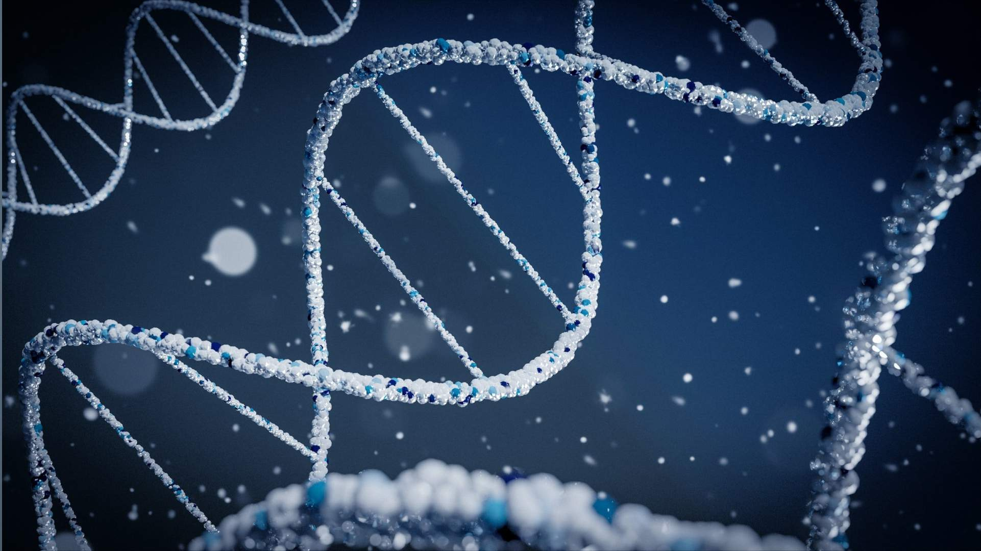 Image depicting DNA strands from a DeSci project