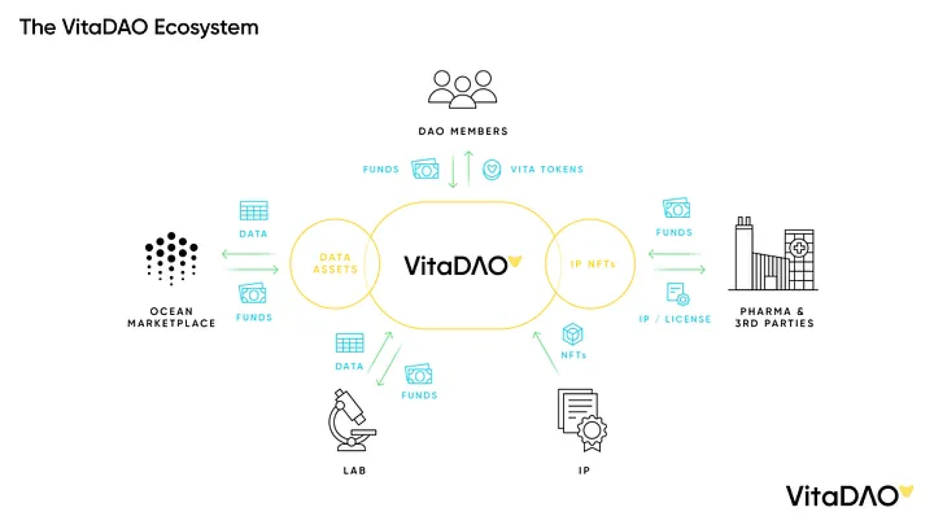 Image depicting the VitaDAO ecosystem