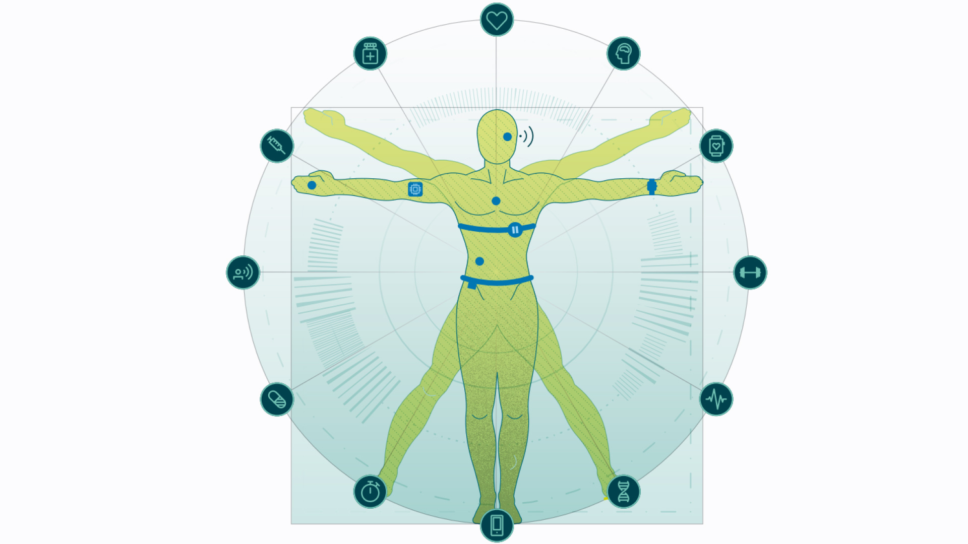 Image of a human being depicting a view of longevity analysis points