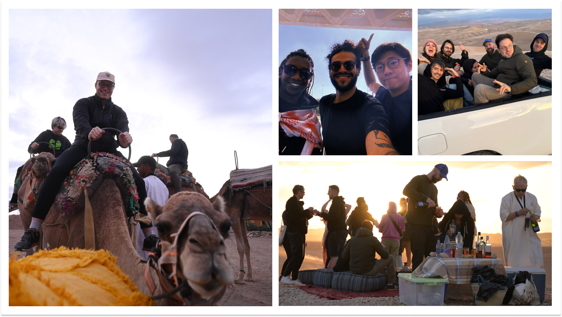 Collage Desert activities